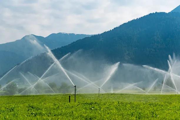 鋪設(shè)滴灌管時(shí)我們應(yīng)該注意什么？